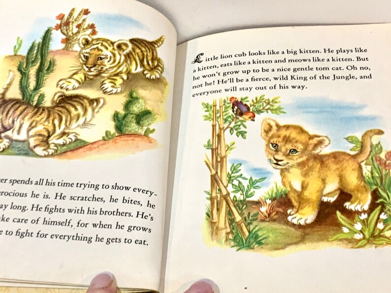 Vintage Storybook Animal Babies A Little Golden Book Etsy