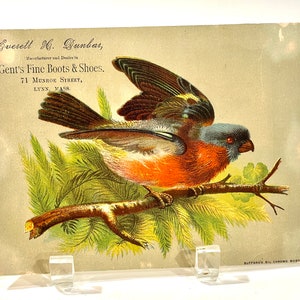 Victoriaanse Trade Card, Bird on Branch, fijne laarzen en schoenen voor heren, Everett H Dunbar, Buffords oil Chromo Boston, vogelprint, Lynn Mass, cadeau