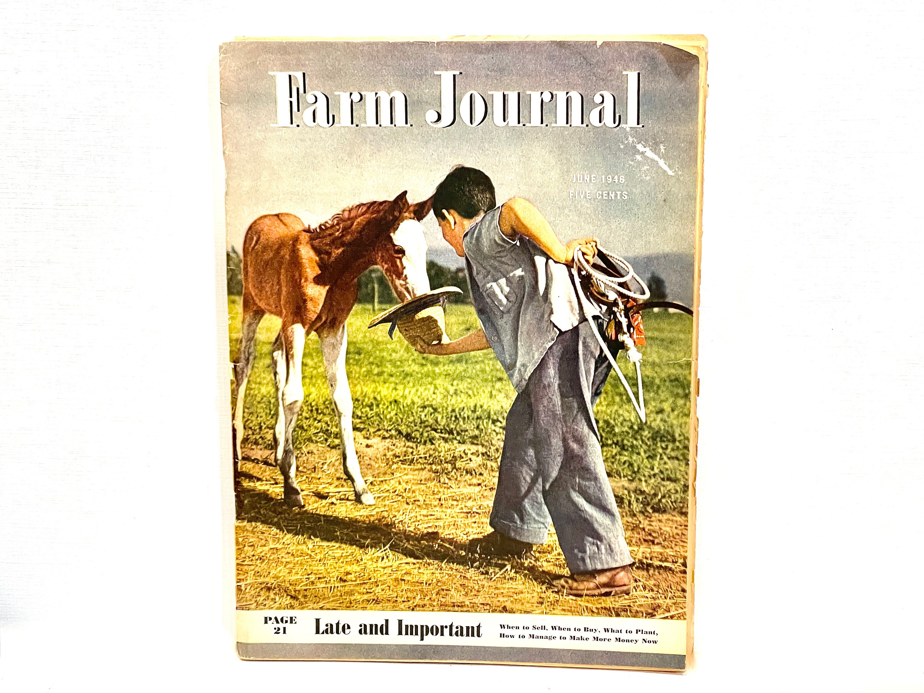 Farm Magazine Farm Journal June 1946 Mid Century 1940s - Etsy India Farm Magazine Farm Journal June 1946 Mid Century 1940s - Etsy India