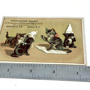 Viktorianische Handelskarte, Kätzchen Katzen, Paragon Seife, 1880er Jahre Ära, Kätzchen in der Schule, Dummkopf Hut, Werbekarte, Seifenhandel Karte, Geschenkidee