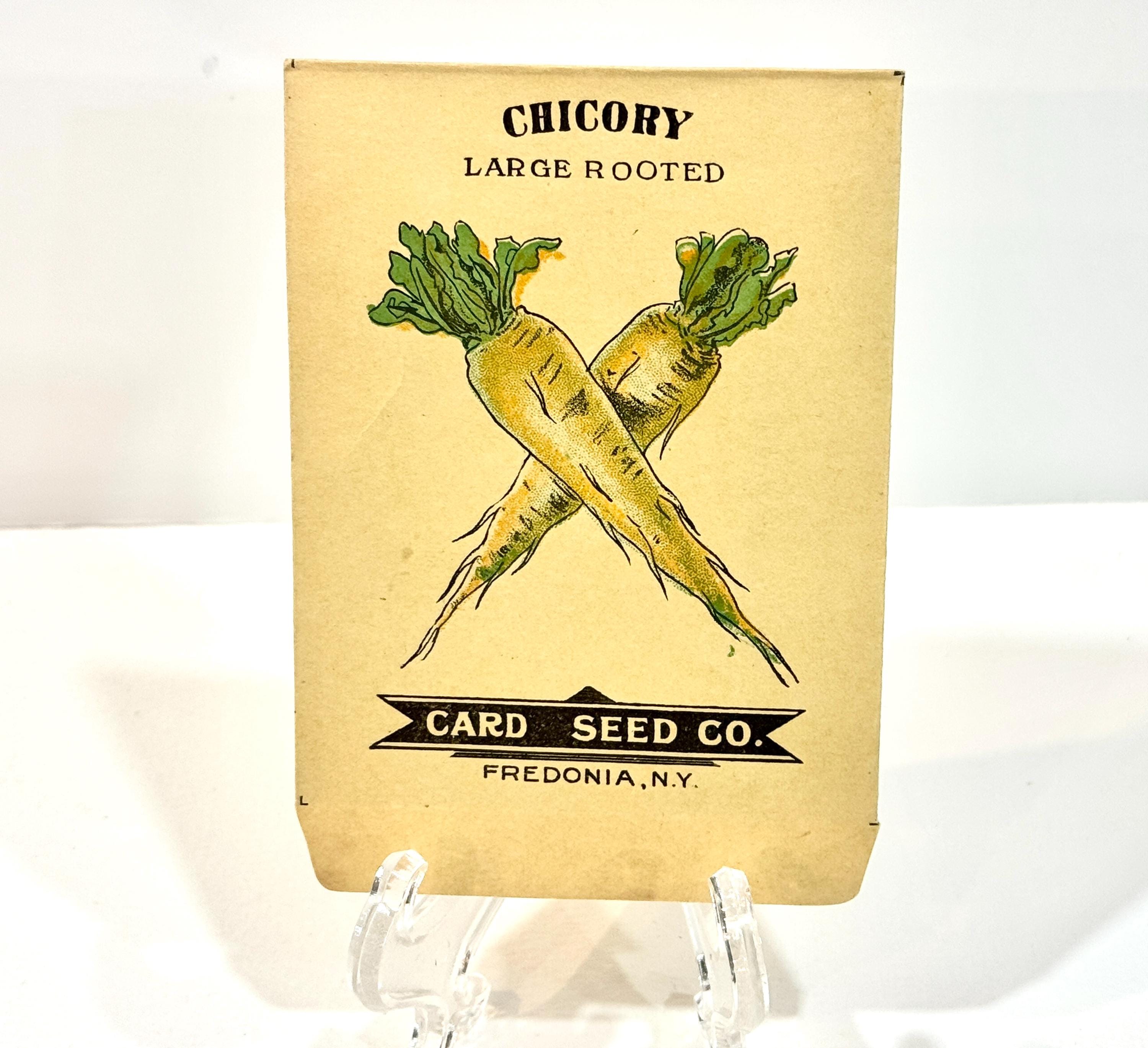 Chicory seeds - Etsy 日本