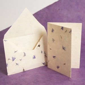 May include: A set of two blank greeting cards with envelopes. The cards and envelopes are made of cream-coloured paper with a scattered pattern of small blue flower petals.