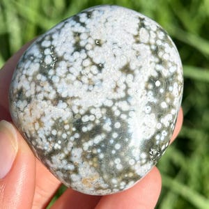Ocean Jasper Palm Stone: Old Stock, 2&quot;