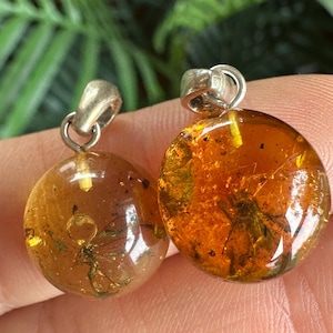Baltic Amber with Insect Inclusions .925 Sterling Silver Necklace