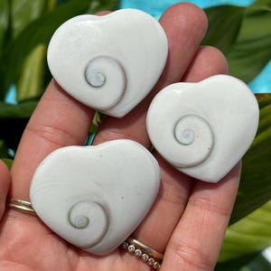 Shiva Eye heart, Shiva Eye Shell Heart, shell heart, cats eye, protection stone, crystal shop, gem shop