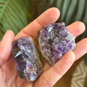 Puede incluir: Dos grupos de cristales de amatista en bruto con puntas facetadas de color p&uacute;rpura intenso y bases de piedra natural de color marr&oacute;n tierra. Los cristales muestran una estructura cristalina irregular con tonos violetas y bordes transl&uacute;cidos.