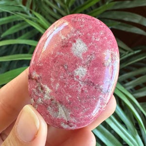 Grande pierre de palmier en thulite