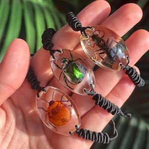 May include: Three bracelets featuring oval-shaped clear resin charms, each containing a preserved insect. One charm holds a dark brown insect, another a metallic green beetle, and the third an orange insect. Each charm is attached to a black cord.