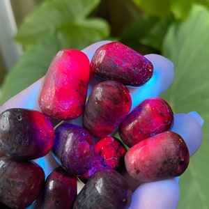 Puede incluir: Un conjunto de piedras pulidas y rodadas en tonos rojos y morados oscuros. Las piedras tienen una forma lisa y redondeada y parecen brillar desde dentro. El fondo muestra una gran hoja verde.