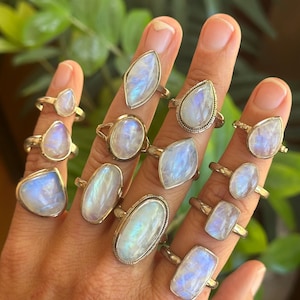 May include: A collection of eleven silver rings, each featuring a polished moonstone with a distinct iridescent blue sheen. The stones vary in shape, including marquise, pear, oval, and rectangular cuts, set on simple metal bands.