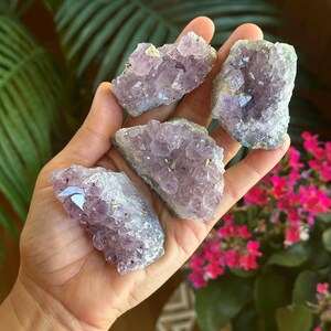May include: Four raw amethyst crystal clusters with jagged, translucent purple points and rough, light-colored rocky bases. The stones exhibit varying shapes and sizes, showcasing natural crystalline formations with deep violet hues and sharp, multifaceted edges.