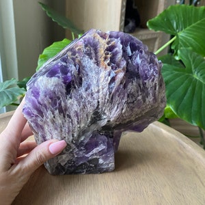 XL Natural Elestial Amethyst Wand - Bahia Root