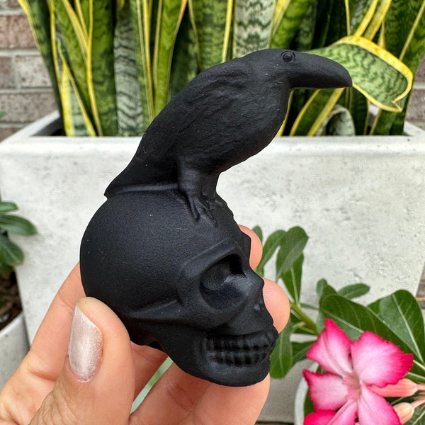 Obsidian skull with bird, raven, crow