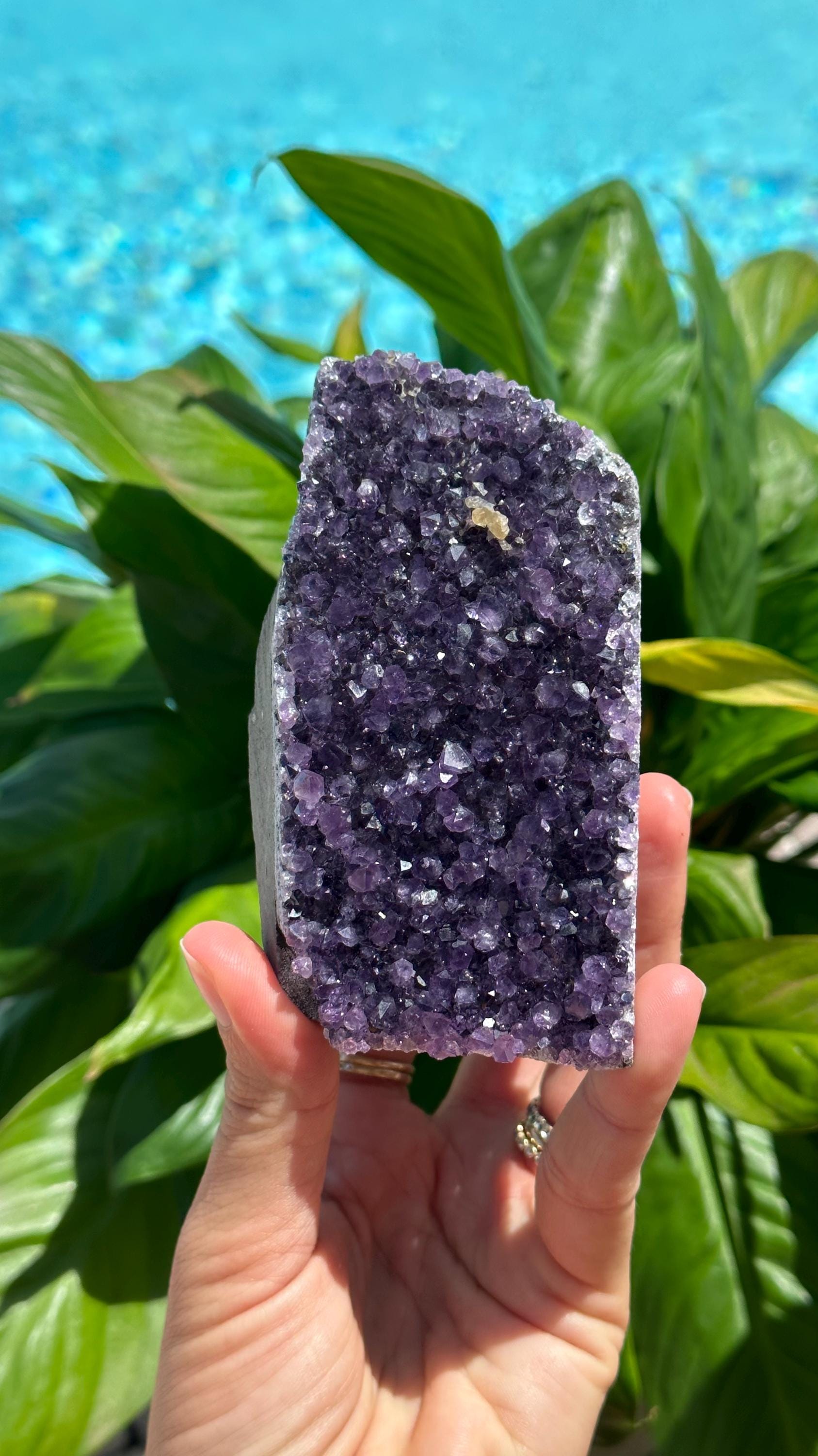 ハイグレード✨ポンデリングフローライト on アメシストクラスター ハイグレード✨ポンデリングフローライト on アメシストクラスター