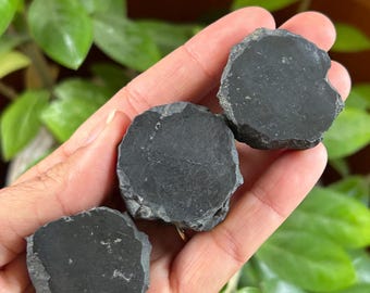 May include: Three small, rough-cut pieces of black stone with flat, circular surfaces and jagged, uneven edges. The stones have a matte, dark charcoal texture and are displayed together, showcasing their natural, unpolished, and irregular mineral form.