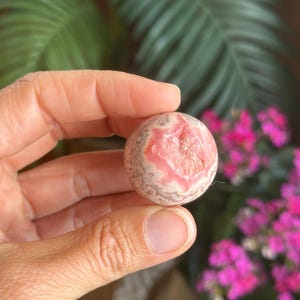 May include: A spherical gemstone with a pink and grey pattern. The stone features a central pink area with a textured appearance, encircled by a band of grey and white. The gemstone is held in a hand, with a blurred backdrop of green leaves and pink flowers.