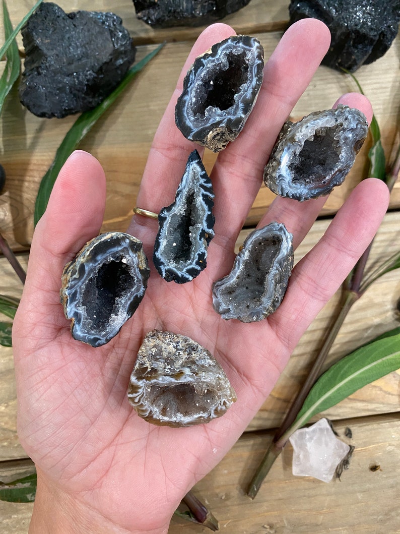 Occo geode halves geode half geode halves geodes agate geode druzy geode