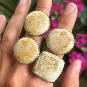May include: Four rings with large, light-colored, fossilized coral stones set in silver. The rings have round and square shapes. The coral has a detailed, natural pattern. The rings are displayed on a hand.