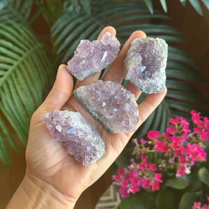 May include: Four raw amethyst crystal clusters with jagged, translucent purple points and rough, greyish-white stone bases. Each piece features a unique, irregular shape with multifaceted surfaces that catch the light, showcasing natural crystalline formations.