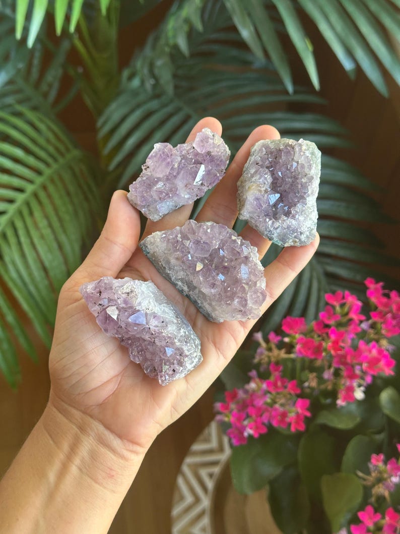 May include: Four raw amethyst crystal clusters with jagged, translucent purple points and rough, greyish-white stone bases. Each piece features a unique, irregular shape with multifaceted surfaces that catch the light, showcasing natural crystalline formations.