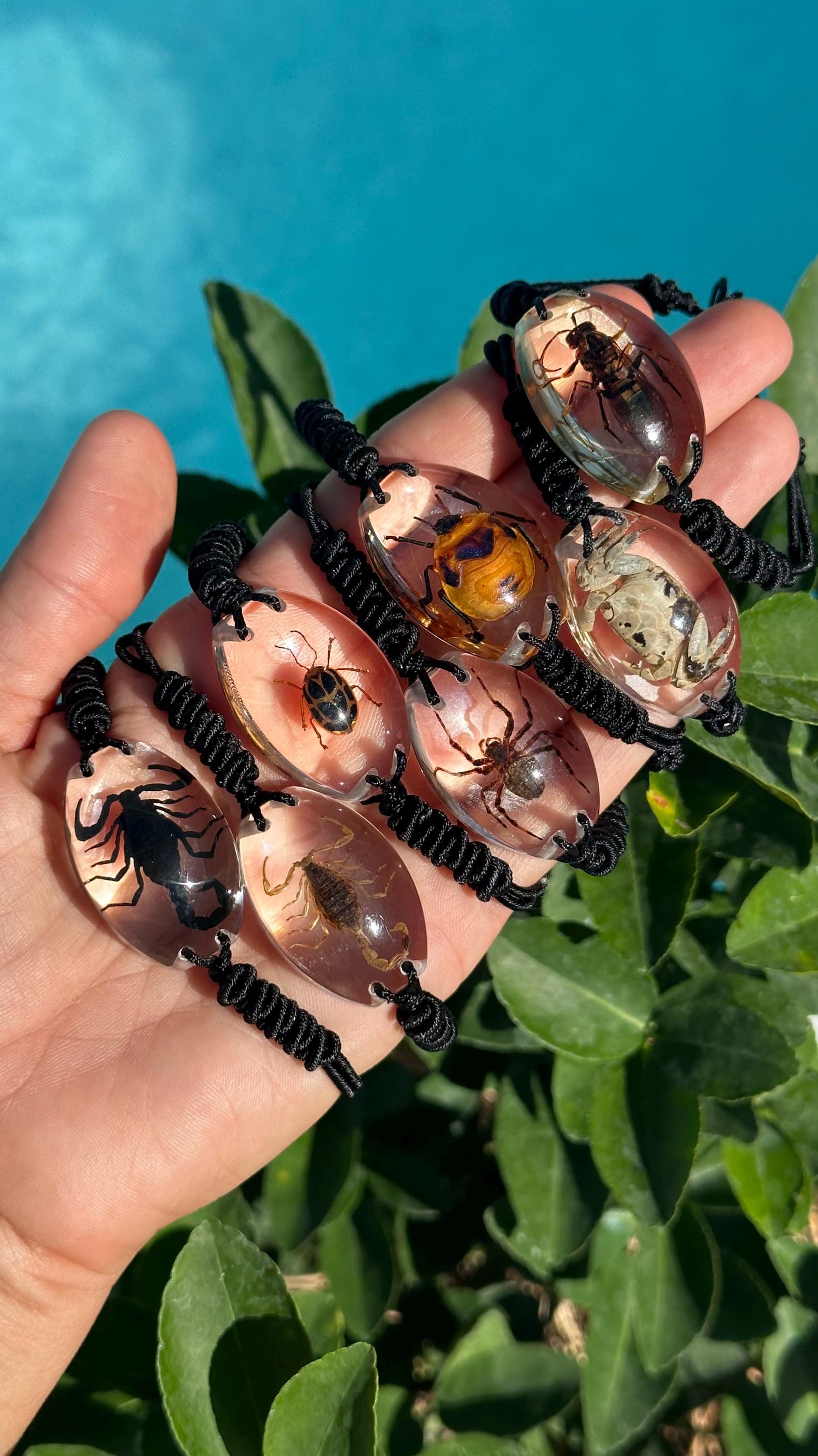 Real Insect Resin Bracelet: Scorpion, Beetle, Spider, Crab - Etsy