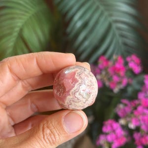 May include: A spherical gemstone, polished to a high sheen, displaying a swirling pattern of pink and cream hues. The stone is held in a hand, with a backdrop of green foliage and bright pink flowers.