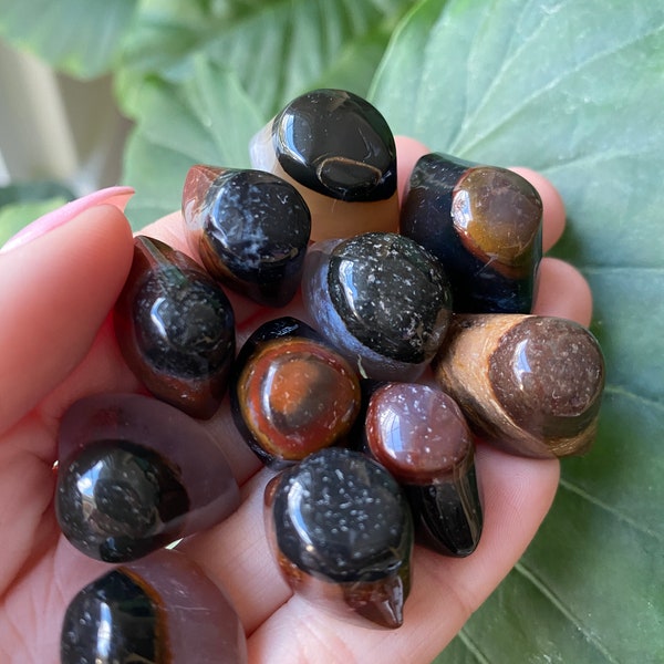 Sardonyx eye. Eye agate