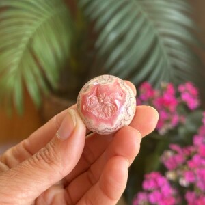 May include: A round, polished gemstone with a pink and white pattern. The stone is held in a hand, with a blurred background of green leaves and pink flowers. The gemstone is a natural, decorative item.