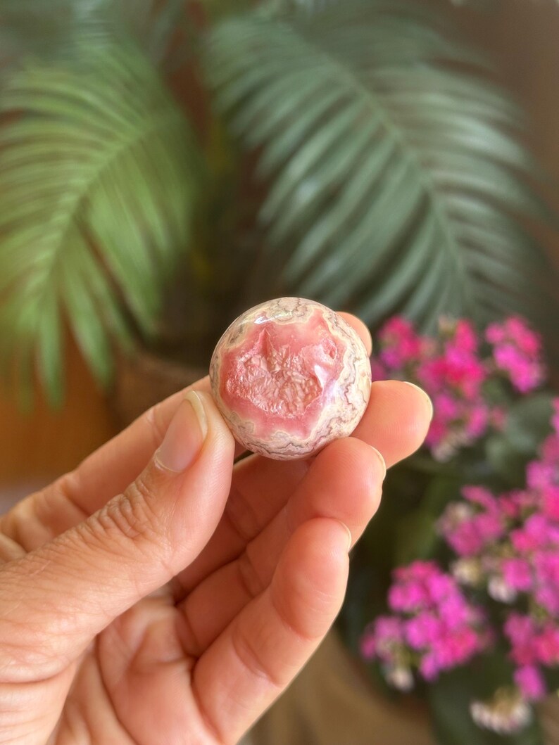 May include: A round, polished gemstone with a pink and white pattern. The stone is held in a hand, with a blurred background of green leaves and pink flowers. The gemstone is a natural, decorative item.