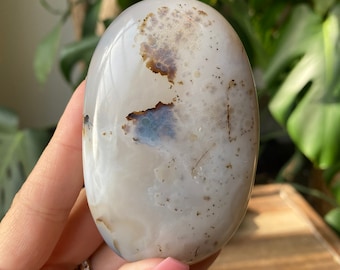 dendritic agate palm stone