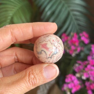 May include: A spherical, polished stone with a swirling pattern of pink, cream, and grey. The stone is held in a hand, highlighting its intricate natural design. The background features green foliage and vibrant pink flowers, enhancing the stone's colours.