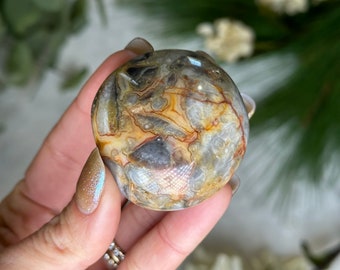 Crazy lace agate palm stone