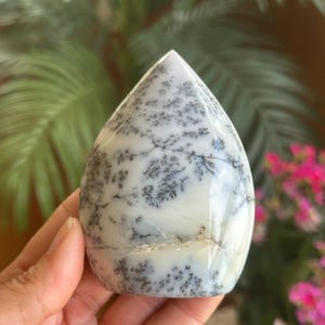 May include: A polished, teardrop-shaped dendritic agate stone featuring a smooth, creamy white base color with intricate, dark grey, fern-like branch patterns spreading across the surface in a natural, organic, and highly detailed formation.