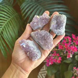 May include: Four small, raw amethyst crystal clusters with jagged, translucent purple points and rough, greyish-white stone bases. The clusters vary in shape and size, displaying natural crystalline formations with multifaceted surfaces that catch the light.