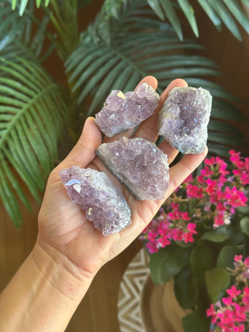 May include: Four small, raw amethyst crystal clusters with jagged, translucent purple points and rough, greyish-white stone bases. The clusters vary in shape and size, displaying natural crystalline formations with multifaceted surfaces that catch the light.