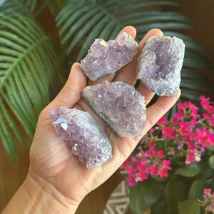 Raw purple Amethyst Cluster, Dark Purple Geode, Home Office Decor 2” - 2.5” image 5