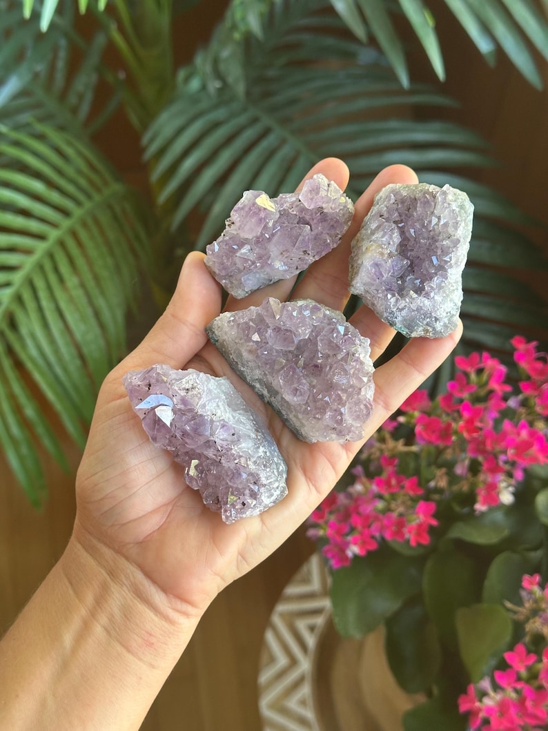 Raw purple Amethyst Cluster, Dark Purple Geode, Home Office Decor 2” - 2.5” image 5
