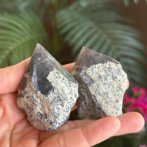 May include: Two raw crystal points featuring dark, translucent, smoky-colored tips that transition into rough, textured, grey and beige mineral bases. The stones have a pointed, natural shape with visible crystalline structures and jagged edges.