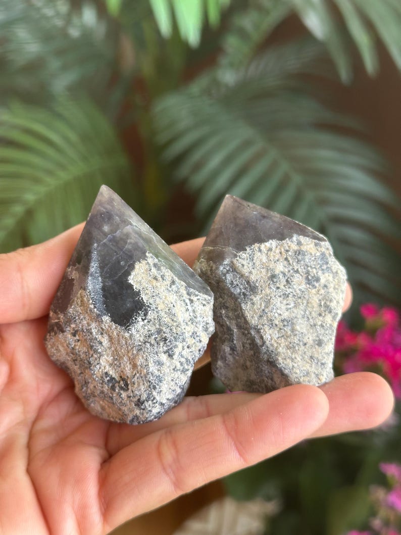 May include: Two raw crystal points featuring dark, translucent, smoky-colored tips that transition into rough, textured, grey and beige mineral bases. The stones have a pointed, natural shape with visible crystalline structures and jagged edges.