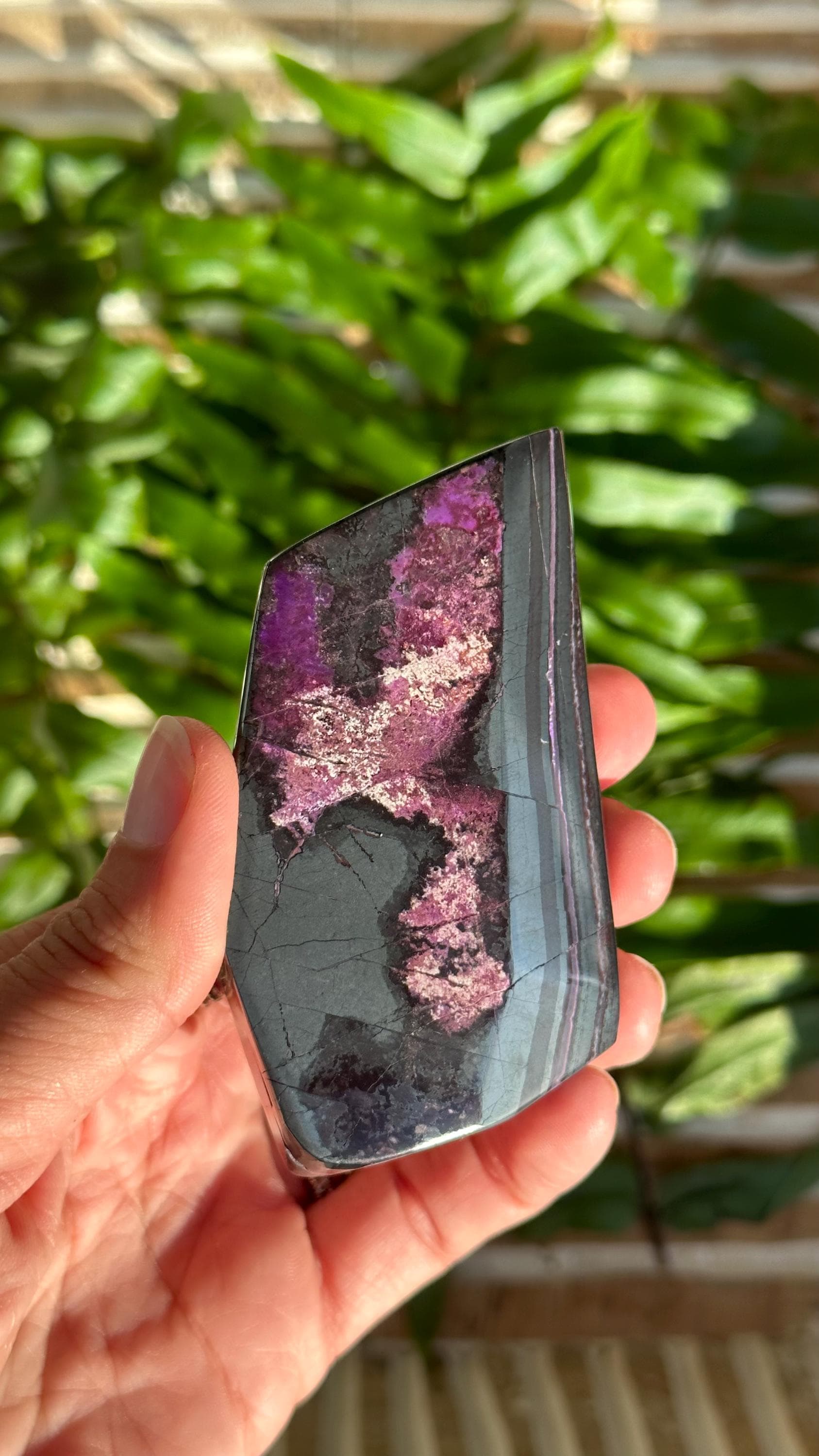 KAMBABA JASPER Slab, Cabochons, Lapidary A
