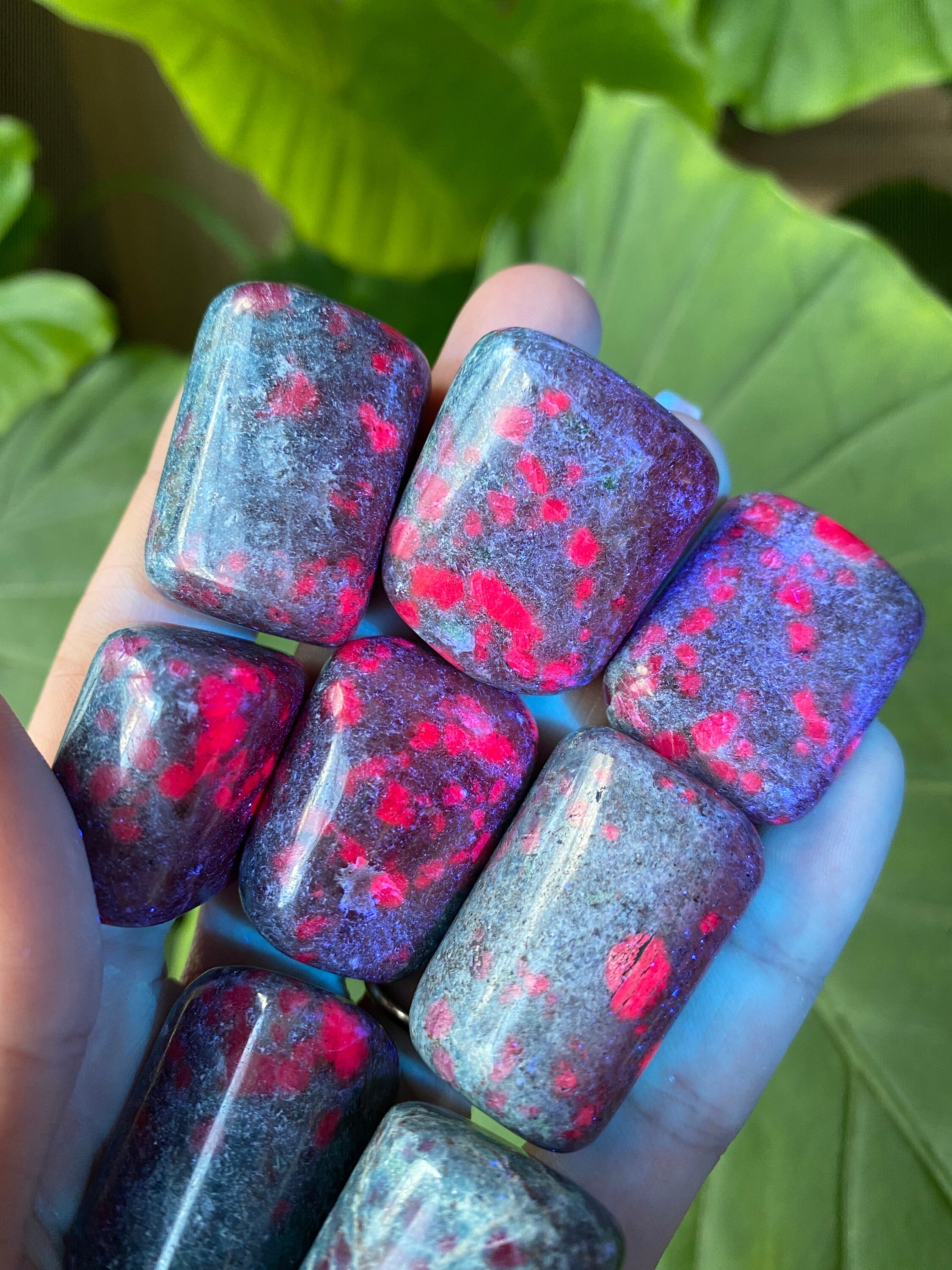 Tumbled Ruby in Kyanite Stone: UV Reactive