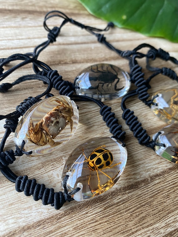 Scorpion Amber Native American Sterling Silver Spider Bracelet Scorpion Amber Native American Sterling Silver Spider Bracelet