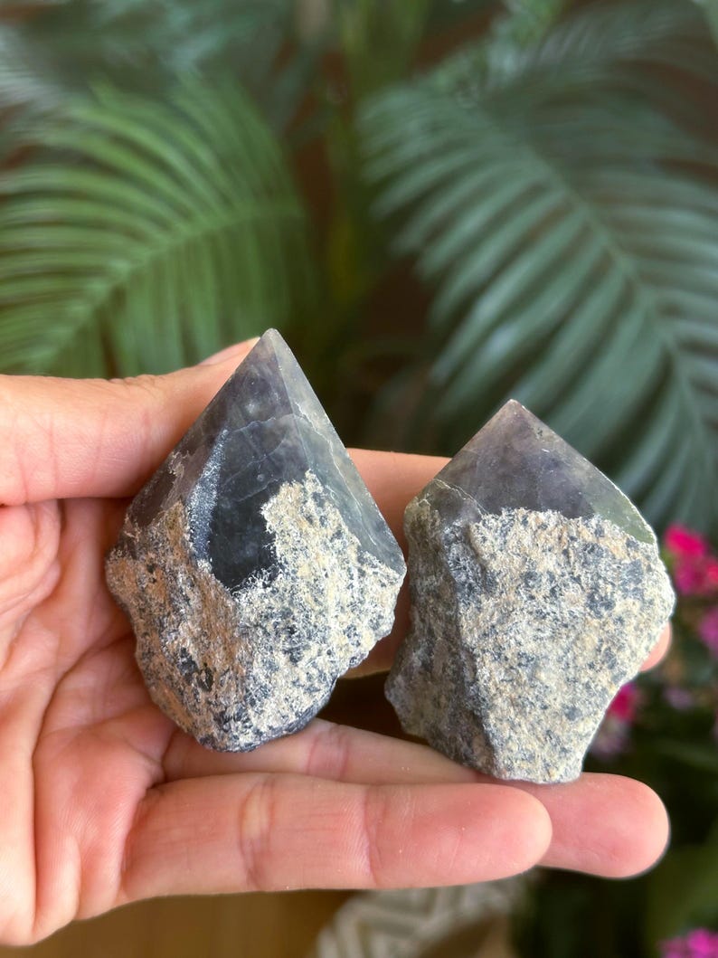 May include: Two raw crystal points featuring dark purple, translucent tips and rough, textured, greyish-brown stone bases. The crystals have a pointed, faceted top section that transitions into a natural, unpolished, and uneven mineral exterior.
