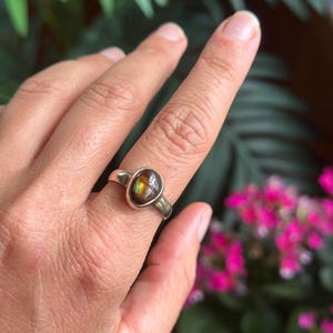 May include: A silver ring featuring a smooth, oval-shaped fire agate gemstone. The stone displays iridescent flashes of orange, green, and gold colours within its dark brown, translucent surface. The band is a simple, polished silver metal.
