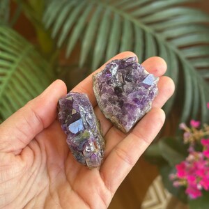 Puede incluir: Dos grupos de cristales de amatista en bruto con puntas facetadas de color p&uacute;rpura intenso y una base de piedra natural rugosa. Los cristales presentan formas geom&eacute;tricas variadas y tonos violetas transl&uacute;cidos, mostrando la textura dentada y sin pulir del mineral.