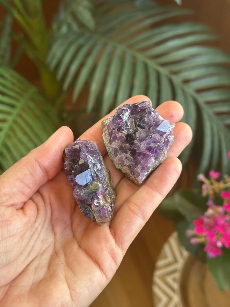 Puede incluir: Dos grupos de cristales de amatista en bruto con puntas facetadas de color p&uacute;rpura intenso y una base de piedra natural rugosa. Los cristales presentan formas geom&eacute;tricas variadas y tonos violetas transl&uacute;cidos, mostrando la textura dentada y sin pulir del mineral.