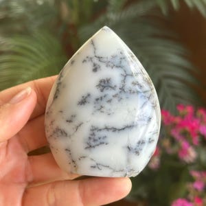 May include: A polished, teardrop-shaped dendritic agate stone featuring a smooth, opaque white surface with intricate, dark gray, fern-like branching inclusions that spread across the front of the stone in a natural, organic pattern.