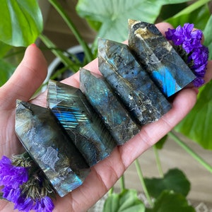 May include: Six labradorite crystal points in various shades of grey, blue, and green with iridescent flashes. The points are arranged in a row, with the largest point at the top and the smallest point at the bottom.