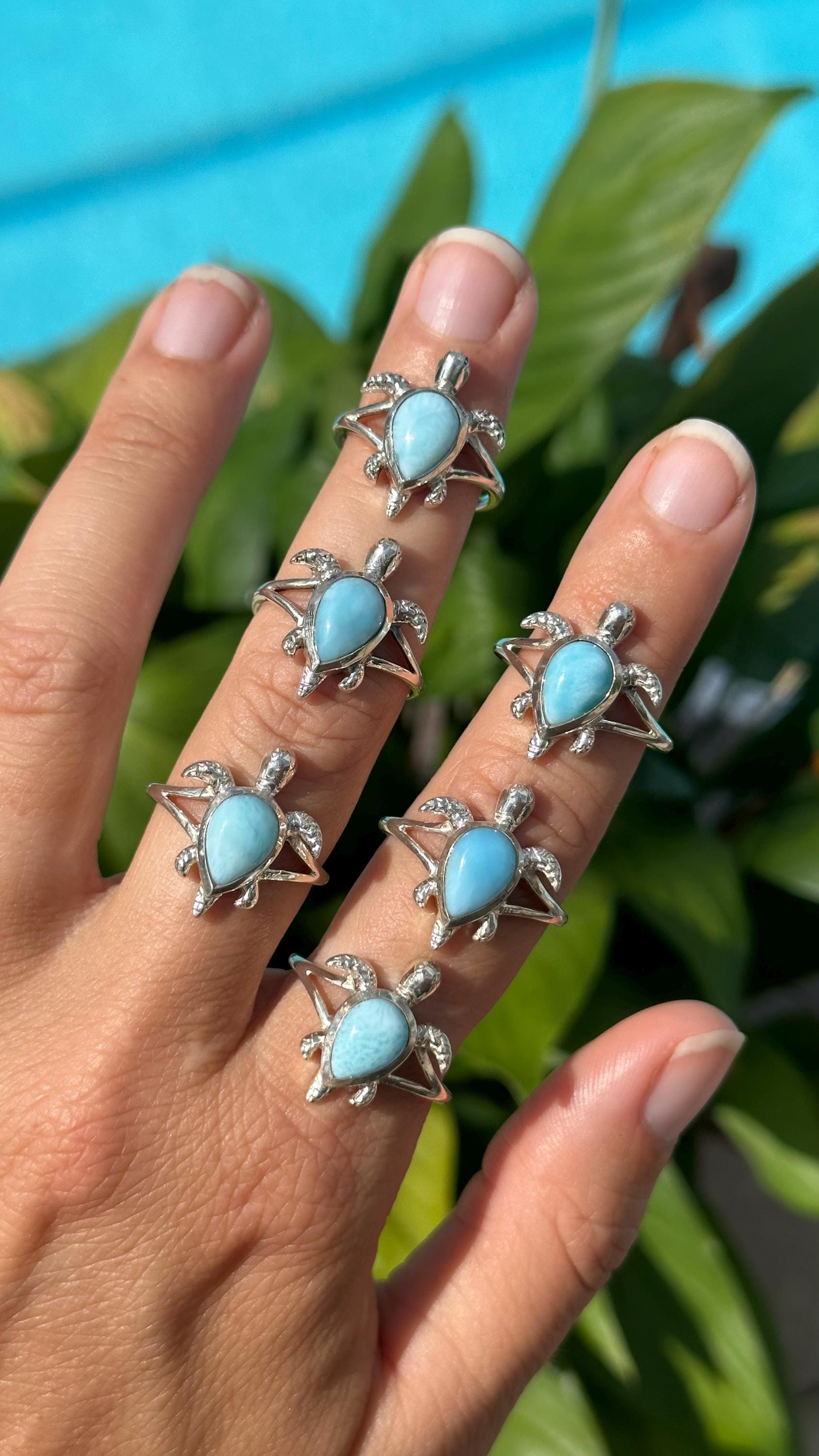 タートルリング、ラリマーリング、スターリングシルバー、.925、12月の