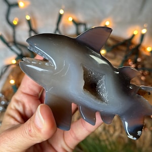 Sea agate Shark, fish, whale